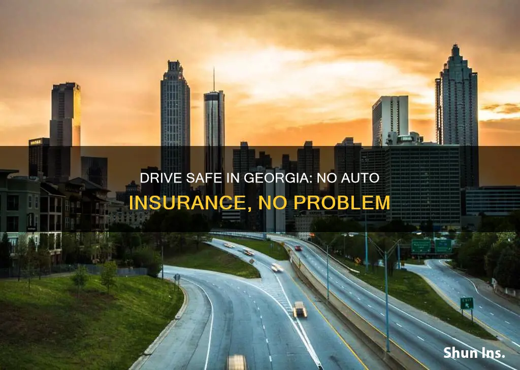 how to get by without auto insurance in Georgia