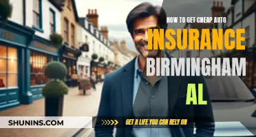 Birmingham, AL: Get Cheap Auto Insurance Now