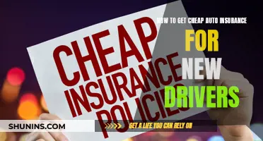 New Drivers: Get Cheap Auto Insurance