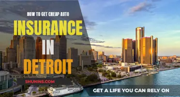 Get Affordable Auto Insurance in Detroit: Tips and Tricks