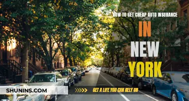 Get Affordable Auto Insurance in New York