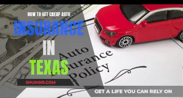 Get Affordable Texas Auto Insurance: Tips and Tricks