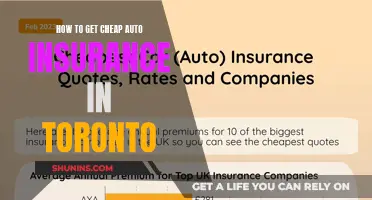 Finding Affordable Auto Insurance in Toronto