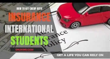 International Students: Get Affordable Auto Insurance