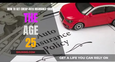 Young Drivers: Get Affordable Auto Insurance