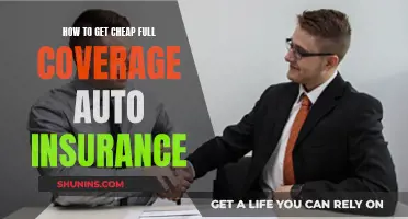 Full Coverage Auto Insurance: Affordable Options