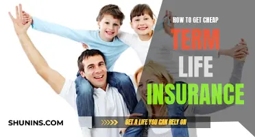 Get Affordable Term Life Insurance: Tips and Tricks