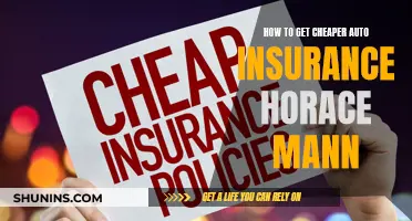 Get Affordable Auto Insurance with Horace Mann