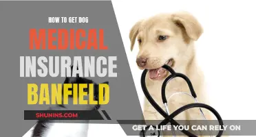 Dog Medical Insurance: Banfield's Plan for Your Pet's Health