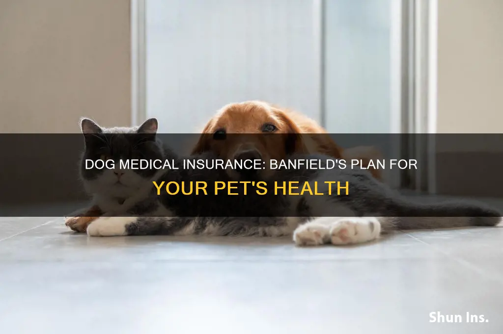 how to get dog medical insurance banfield
