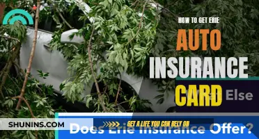 Get Your Erie Auto Insurance Card Today