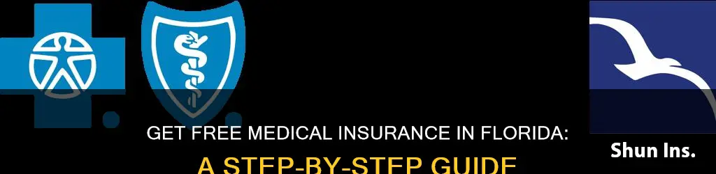 how to get free medical insurance in Florida