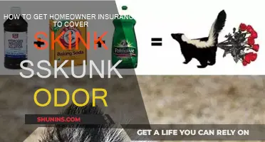 Skunk Odor Removal: Getting Home Insurance Coverage