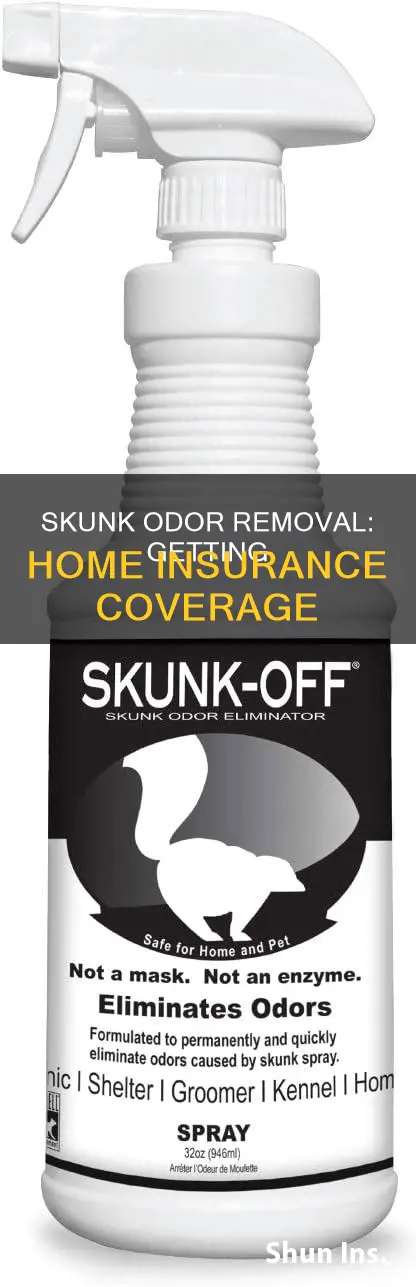 how to get homeowner insurance to cover skink sskunk odor
