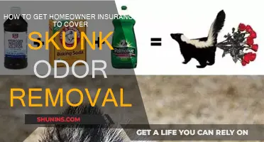 Skunk Odor Removal: Getting Homeowner Insurance to Cover the Cost