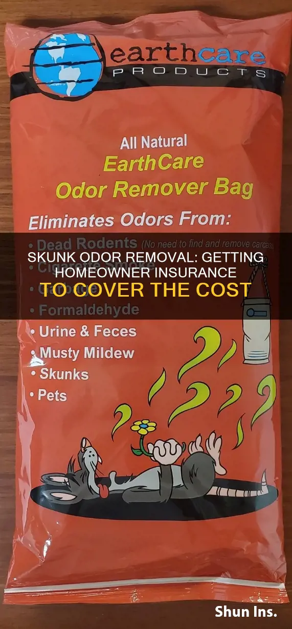 how to get homeowner insurance to cover skunk odor removal