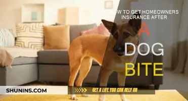 Get Home Insurance After a Dog Bite: What You Need to Know