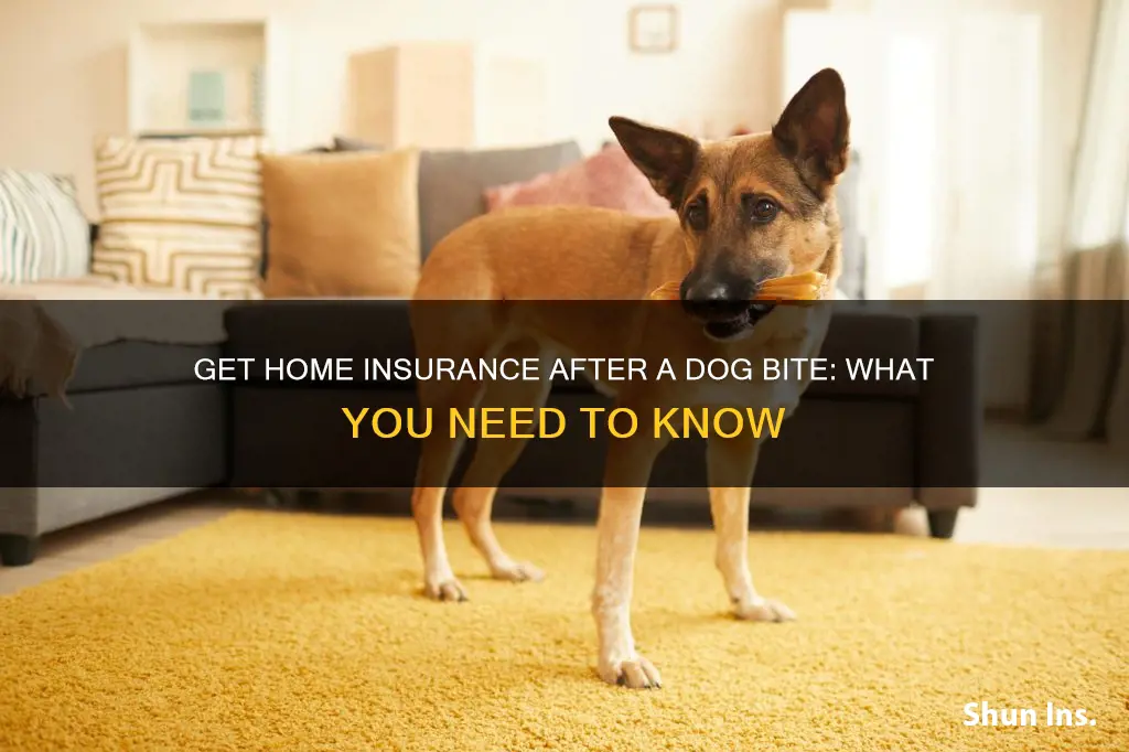 how to get homeowners insurance after a dog bite