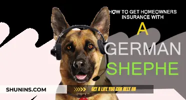 German Shepherd Owners: Get Home Insurance Easily