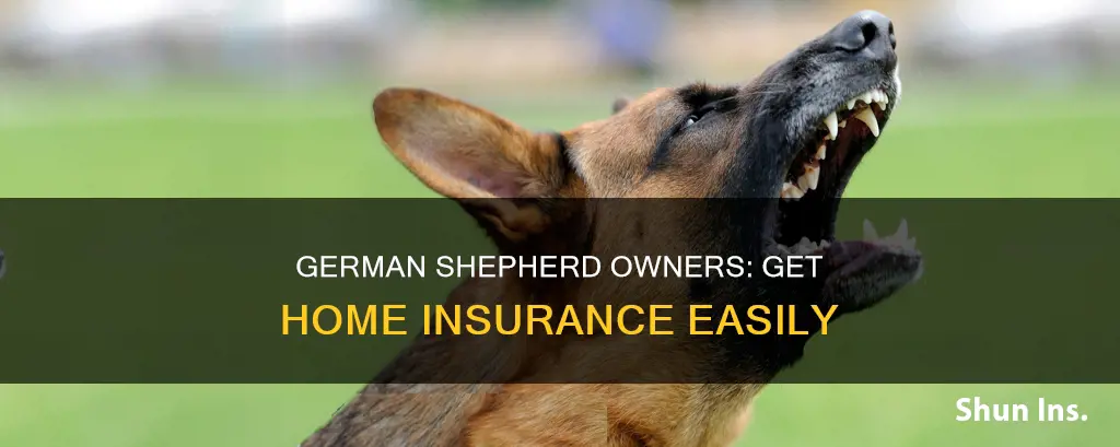 how to get homeowners insurance with a german shepherd