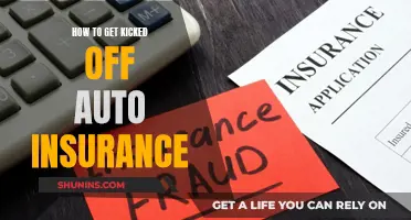 Get Kicked Off Auto Insurance: Common Reasons and Solutions