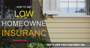 Strategies to Lower Homeowners Insurance Costs