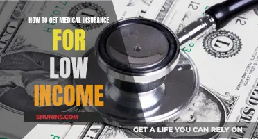 Get Medical Insurance: Low-Income Options and Strategies