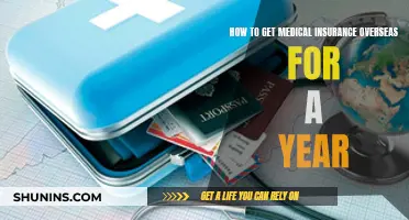 Get Medical Insurance for Your Year Abroad