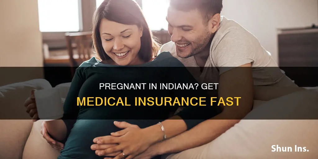 how to get medical insurance when pregant in Indiana