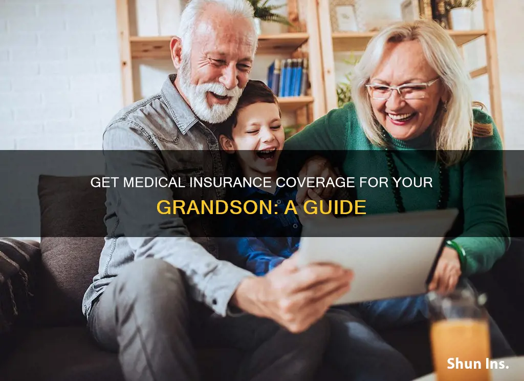how to get medical insurence for my grandson
