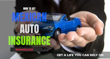 The Right Way to Get Mexican Auto Insurance