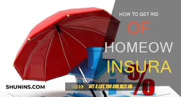 Strategies to Drop Homeowners Insurance Without Risking It All