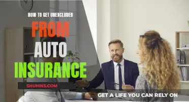 Understanding Auto Insurance: Getting Back on the Road