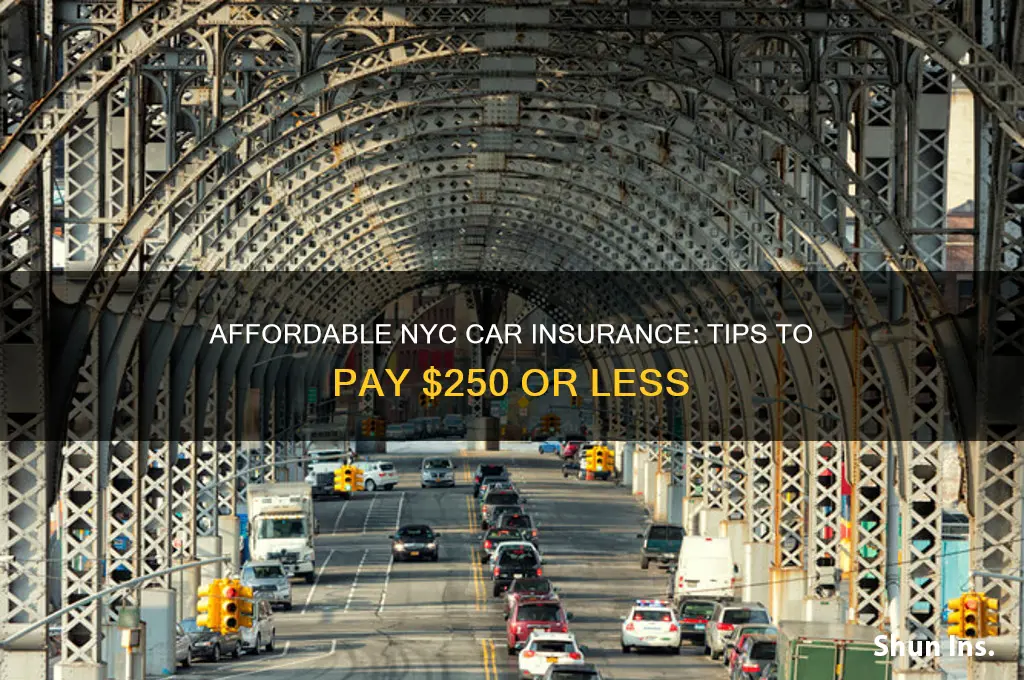 how to getccar insurance for 250 or less in nyc