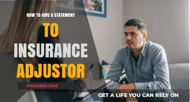 Mastering Your Insurance Statement: Tips for Communicating with Adjusters