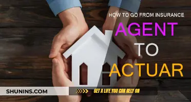 Transitioning from Insurance Agent to Actuary: Steps to Success
