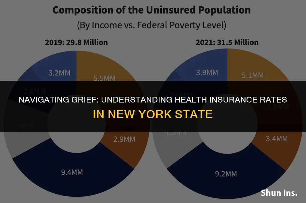 how to grieve health insurance rates nys