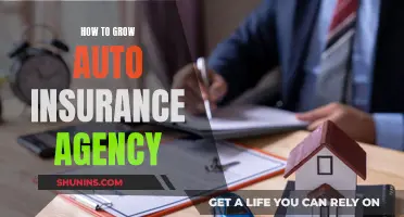 Strategies to Expand Your Auto Insurance Agency