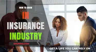Mastering Insurance: Strategies for Rapid Growth and Career Advancement