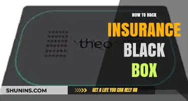 Unveiling Insurance Secrets: Mastering the Black Box Hacking Techniques