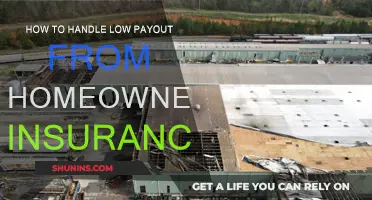 Maximizing Your Payout: Navigating Homeowner's Insurance Claims