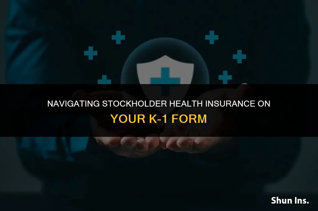 how to handle stockholder health insurance on k 1