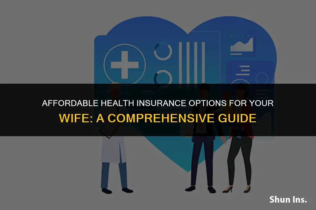 how to have a cheap health insurance for my wife