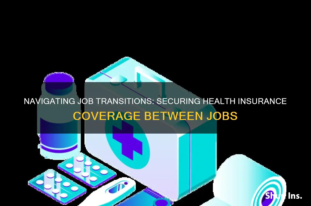 how to have insurance between jobs
