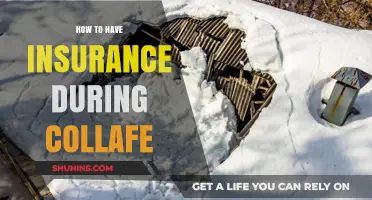 Surviving Collapse: Essential Tips for Securing Insurance in Uncertain Times