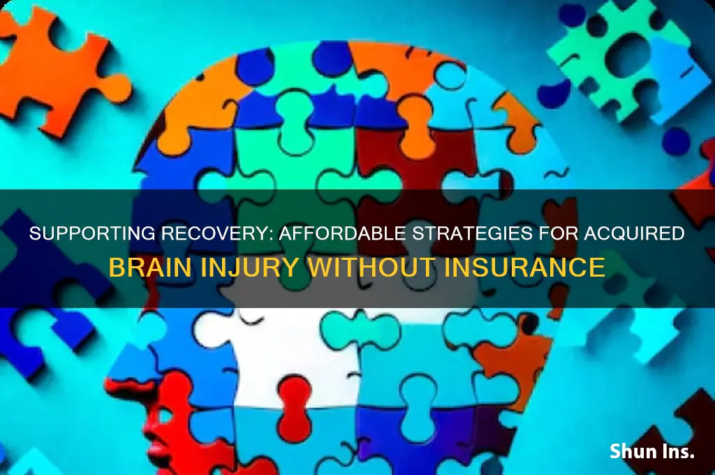 how to help acquired brain injury with no insurance