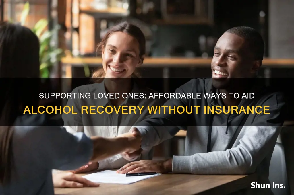 how to help someone with alcohol problems no insurance