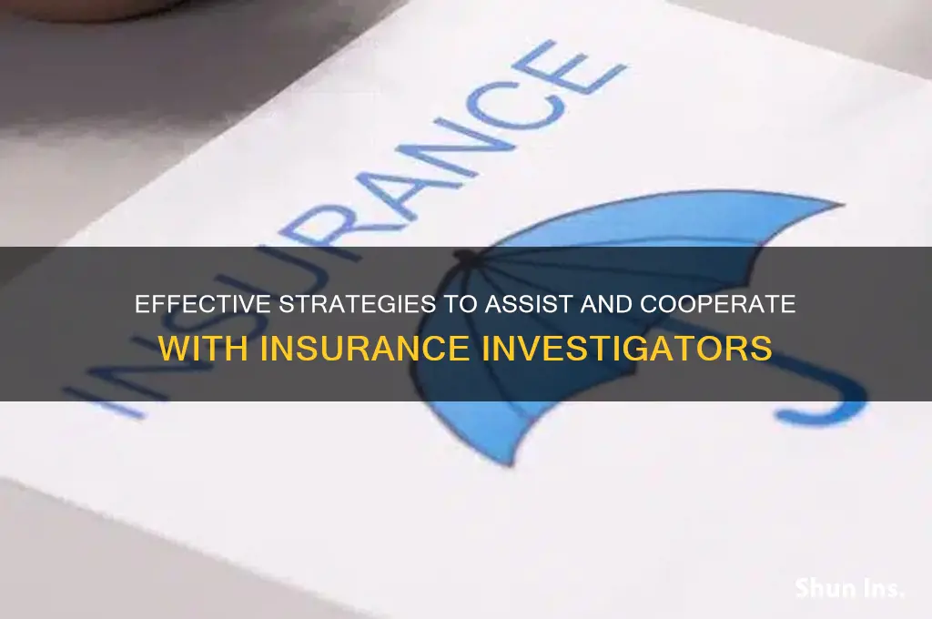how to help with a insurance investigator