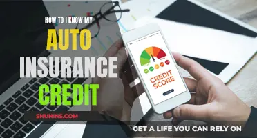 Understanding Auto Insurance: Your Credit Score's Impact