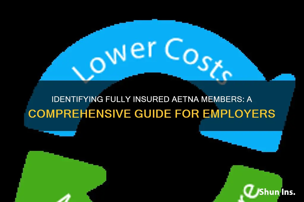 how to identify fully insured members aetna